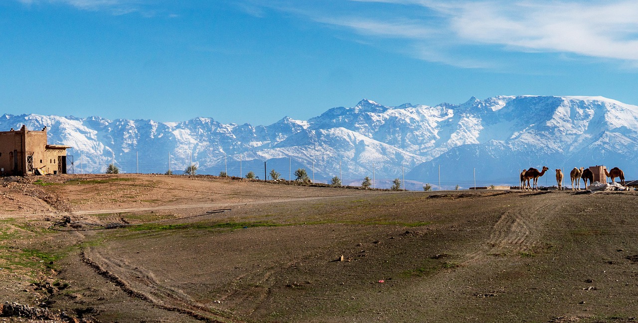 north africa, desert, africa, nature, landscape, to travel, oriental, arabic, expanse, mountains, snow, desert camp, marrakech, agafay, marrakech, marrakech, agafay, agafay, agafay, agafay, agafay