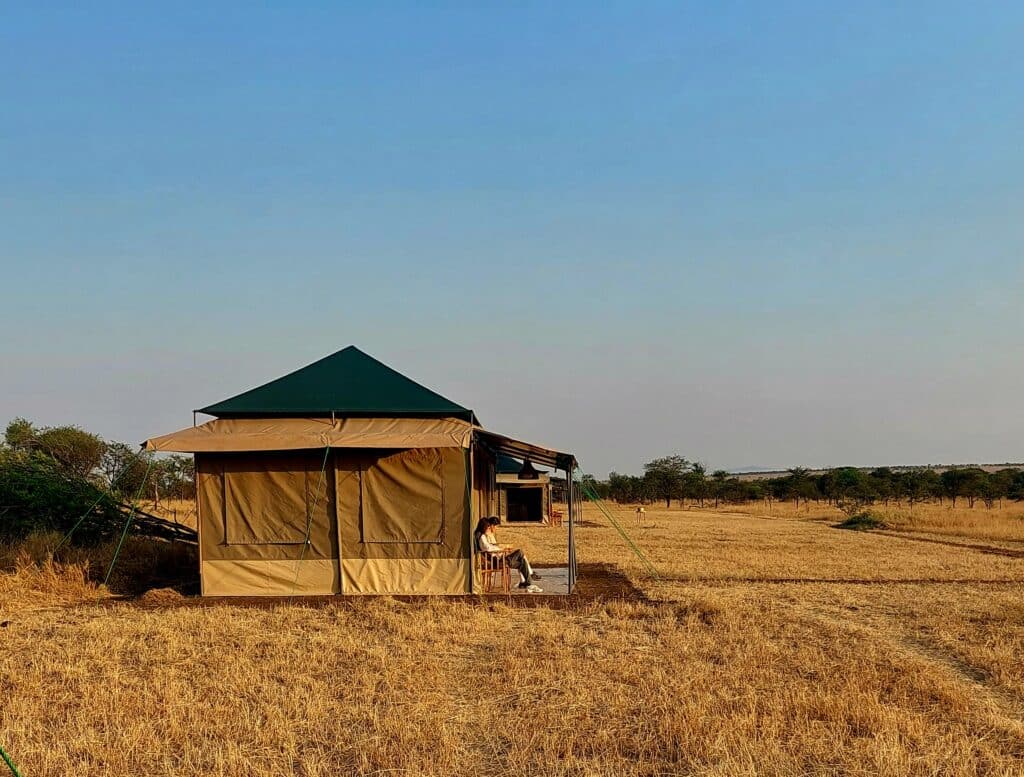 Curiosidades de un safari en Tanzania por primera vez: lo que nadie te cuenta