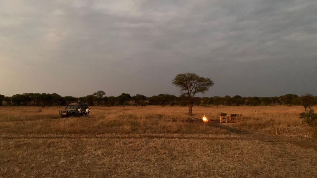 ¿Qué llevar a un safari? La checklist realista para viajar en familia