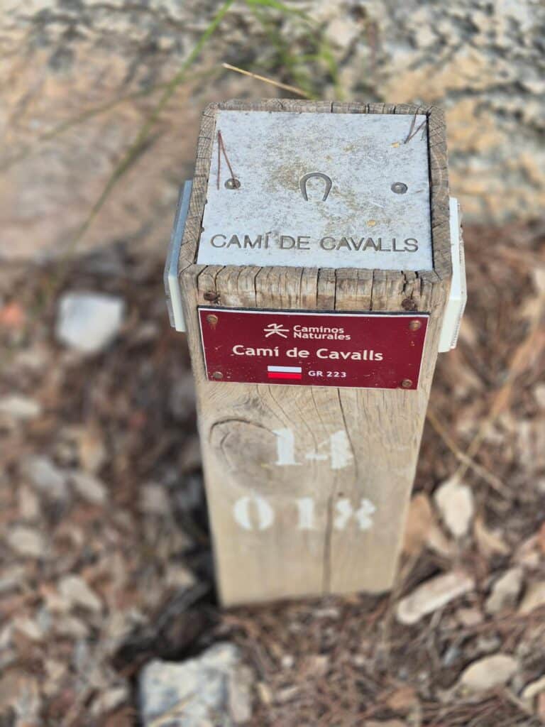 Camí de Cavalls desde Cala Galdana: rutas fáciles en familia por Menorca con adolescentes
