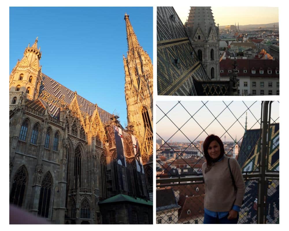 Fotos visita torre de la Catedral de Viena