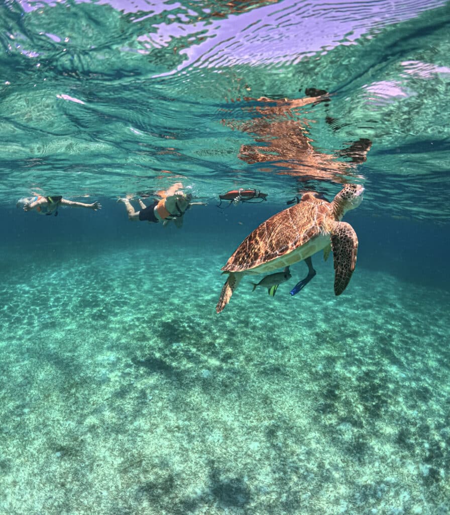 Snorkel en Cozumel: nuestra experiencia en familia con VIP Tours