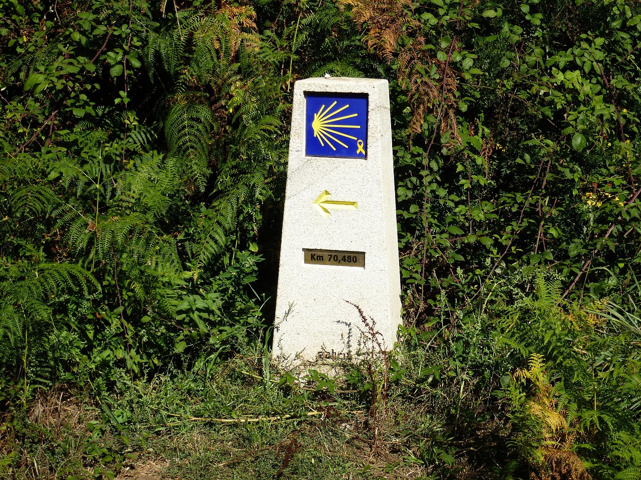 santiago's road, galicia, camino santiago, path, landscape, stone, nature, tourism, shells, hiking, spain, pilgrim, galicia, galicia, galicia, galicia, galicia, camino santiago, camino santiago, camino santiago, camino santiago, pilgrim, pilgrim