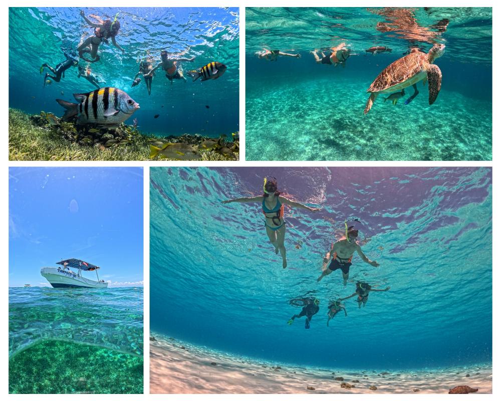 Imagenes de nuestra familia practicando snorquel en aguas de Cozumel