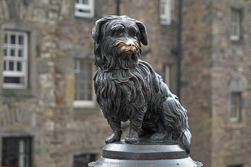 greyfriars, bobby, pet, edinburgh, scotland, dog, statue, monument, animal, skye terrier, lucky charm